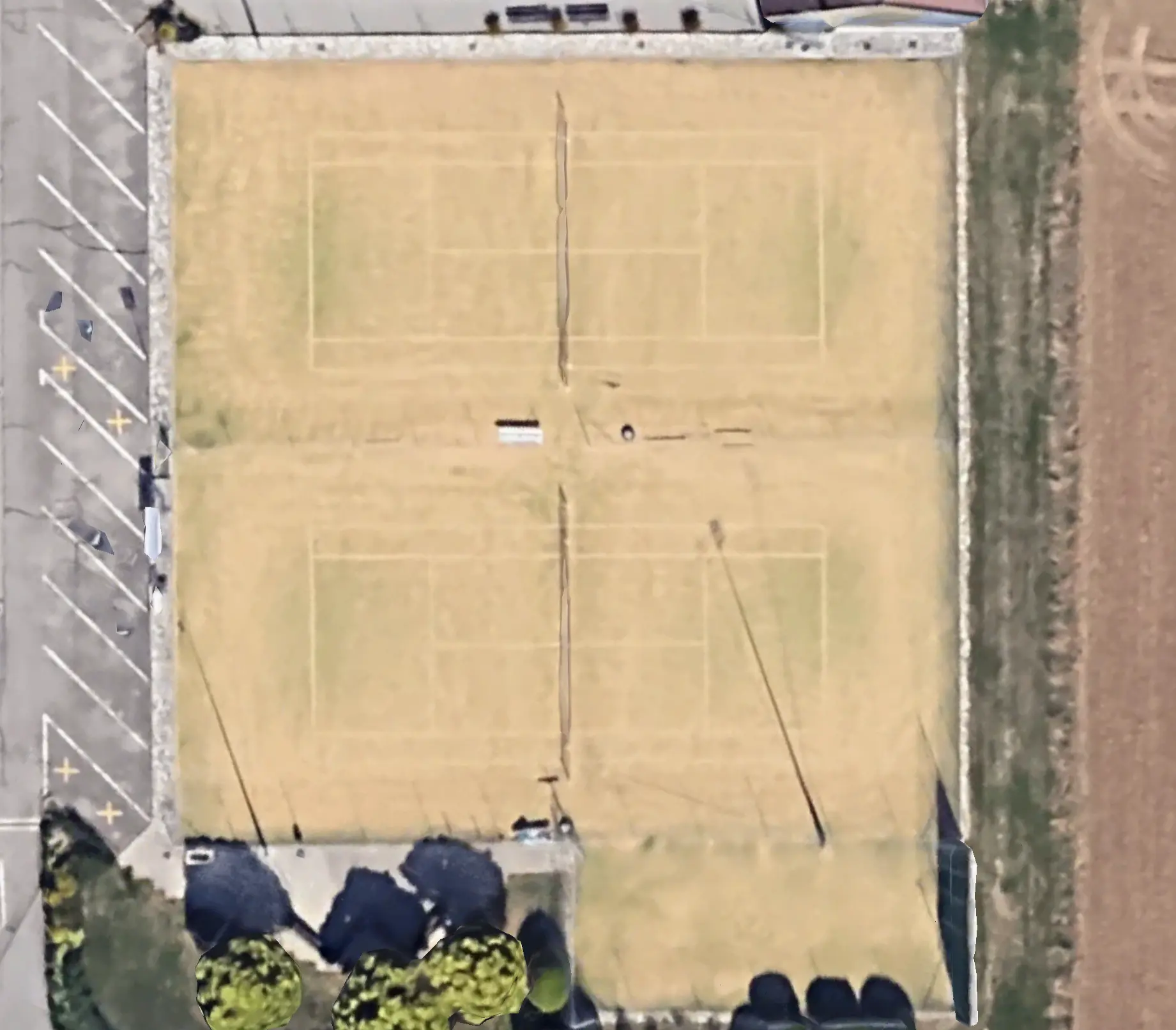 court image
